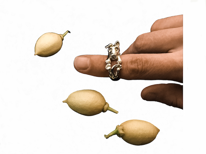 Doggy ring